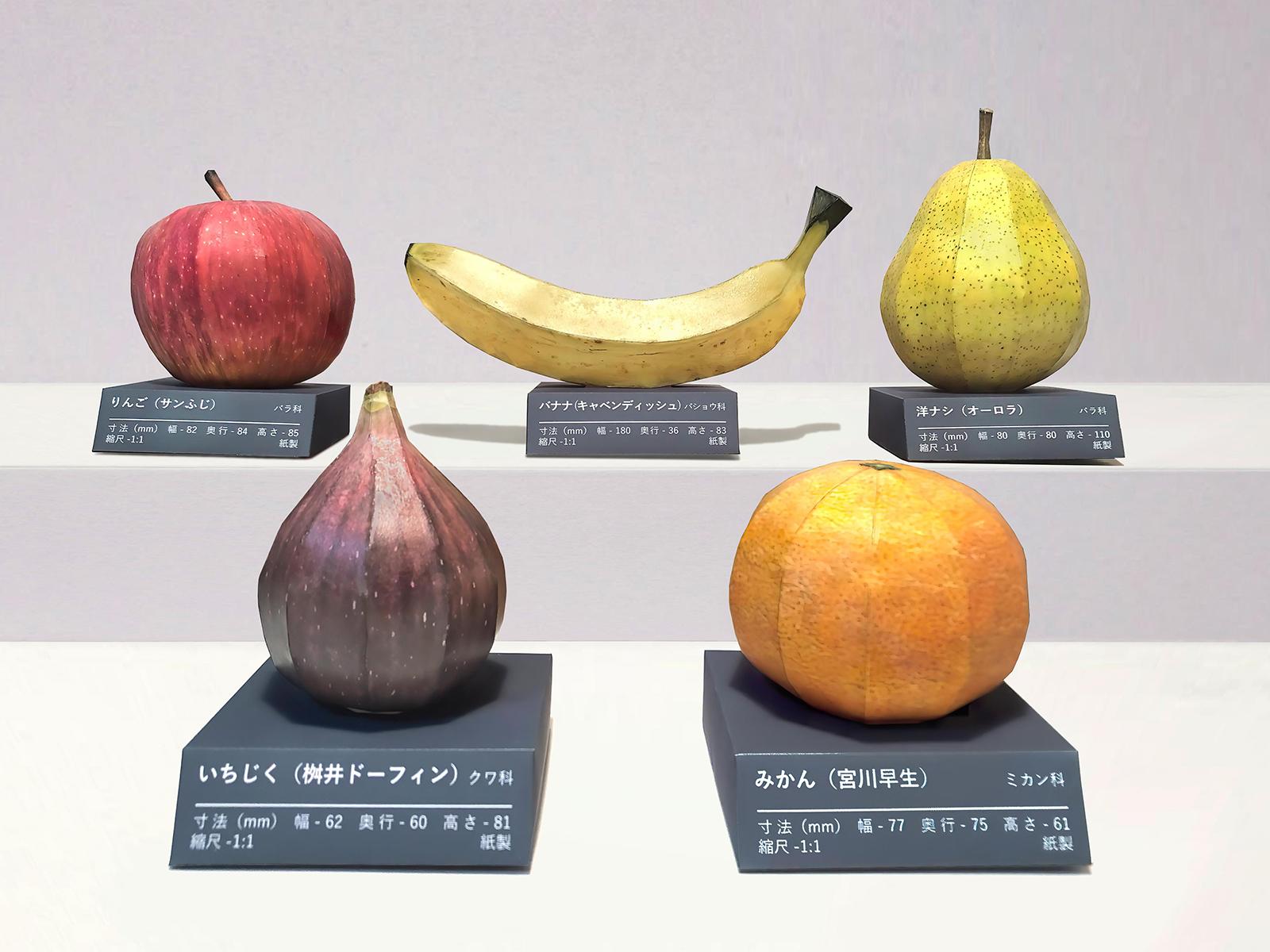 学習支援ツールとしてのペーパークラフト　～彩り果物～